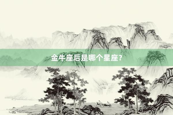金牛座后是哪个星座？