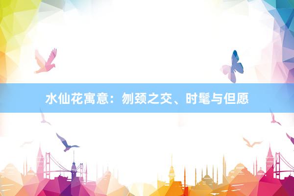 水仙花寓意：刎颈之交、时髦与但愿