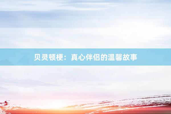 贝灵顿梗：真心伴侣的温馨故事