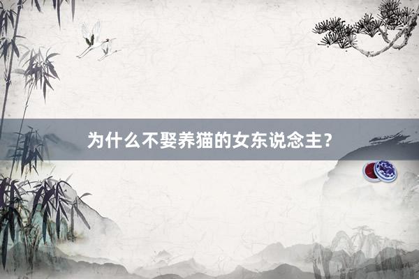 为什么不娶养猫的女东说念主？