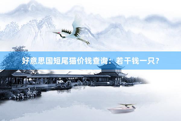 好意思国短尾猫价钱查询：若干钱一只？